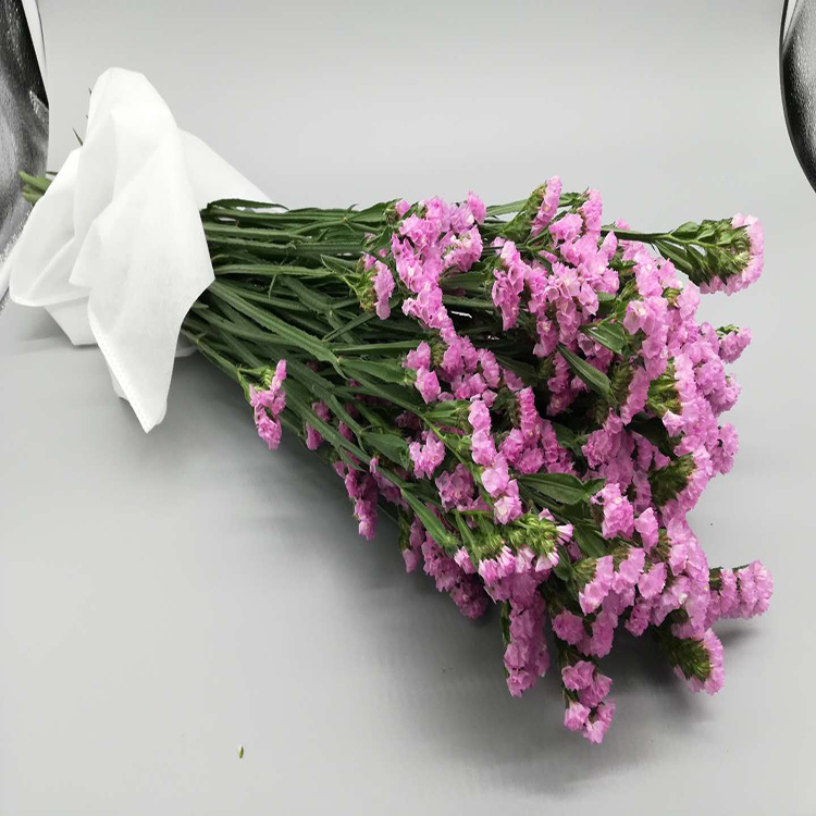 Export Fresh Cut Flower Fresh Cut Flower Pink Statice for Decoration