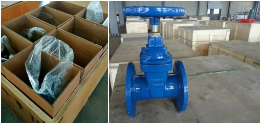 Double Flanges Industrial Gate Valve for Potable Water System / Dci Gate Valve / Industrial Gate Valve