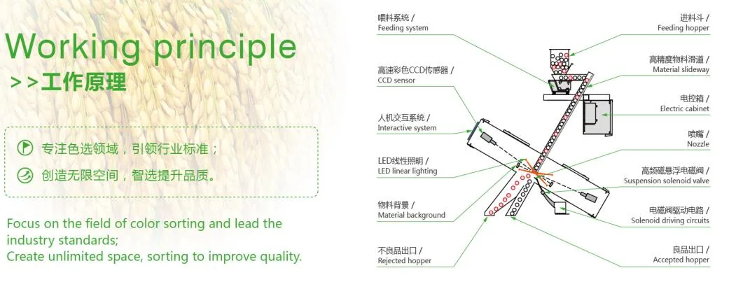 Mung Bean/Green Bean/Yellow Bean/Red Bean Color Sorter Machine Efficiently