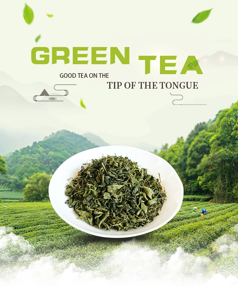 Big Sale - Dried Black / Green Tea with ISO Certificate - Herbal Organic Tea Export to EU, USA Market - Slimming Tea Organic Green Tea