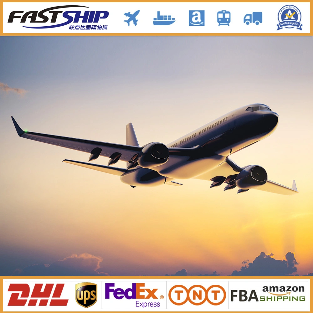 One-Stop Service Fba Door to Door Shipping DHL UPS FedEx TNT to Netherlands