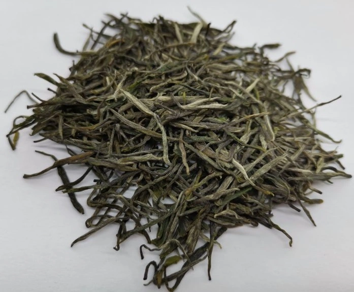 Best Chinese Green Tea Guzhang Maojian