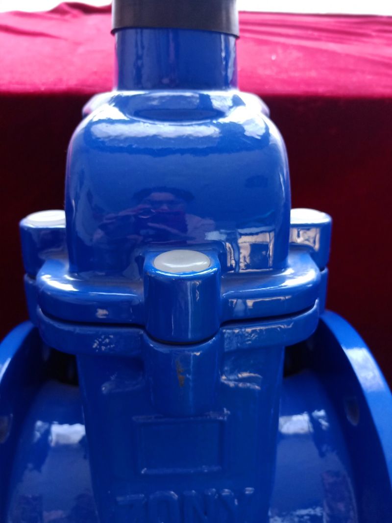 Pn16 API600 Soft Seal No-Rising Gate Valve Sluice Valve Water Gate Vlave