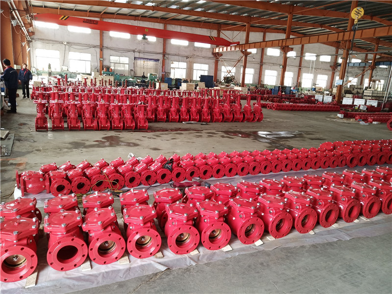 Flange Swing Check Valve UL/FM for Fire Protection