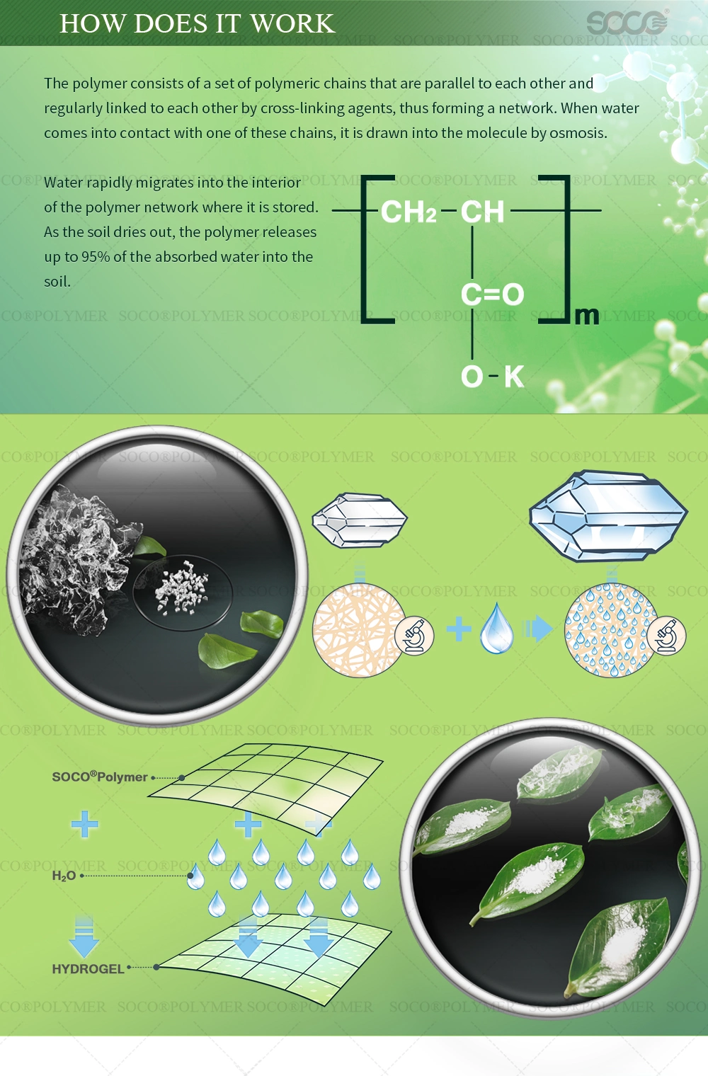 Biodegradable Super Absorbent Polymer for Planting Lawns