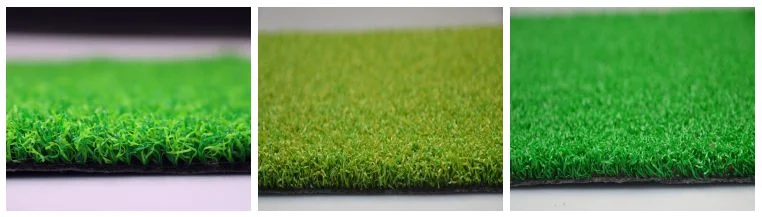 Putting Green, Golf Grass, Artificial Grass for Golf Field