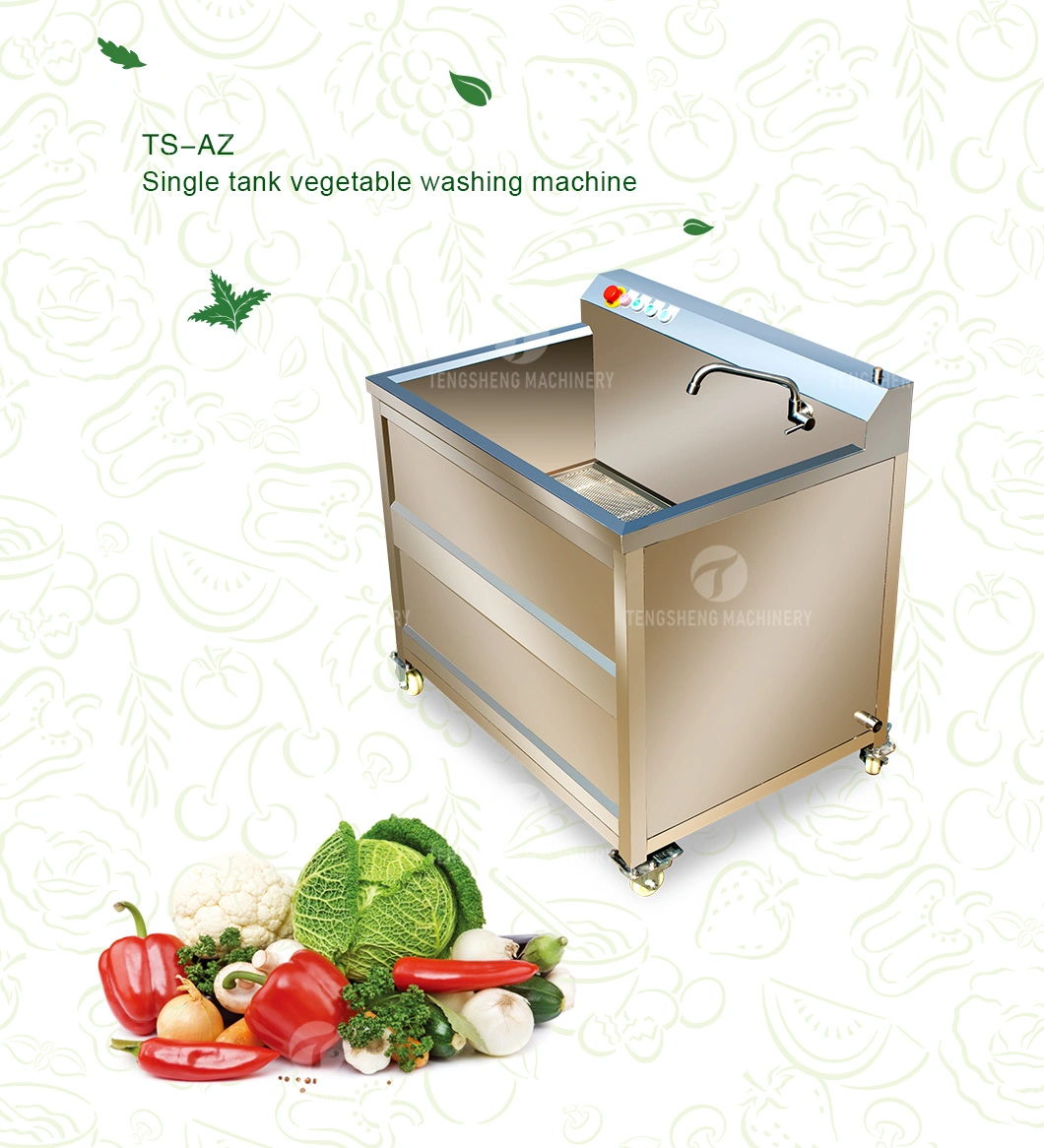 Ozone Sterilizing Cleaning Machine for Fruits and Vegetables Commercial Multifunctional Sea Products Washing Machine (TS-AZ)