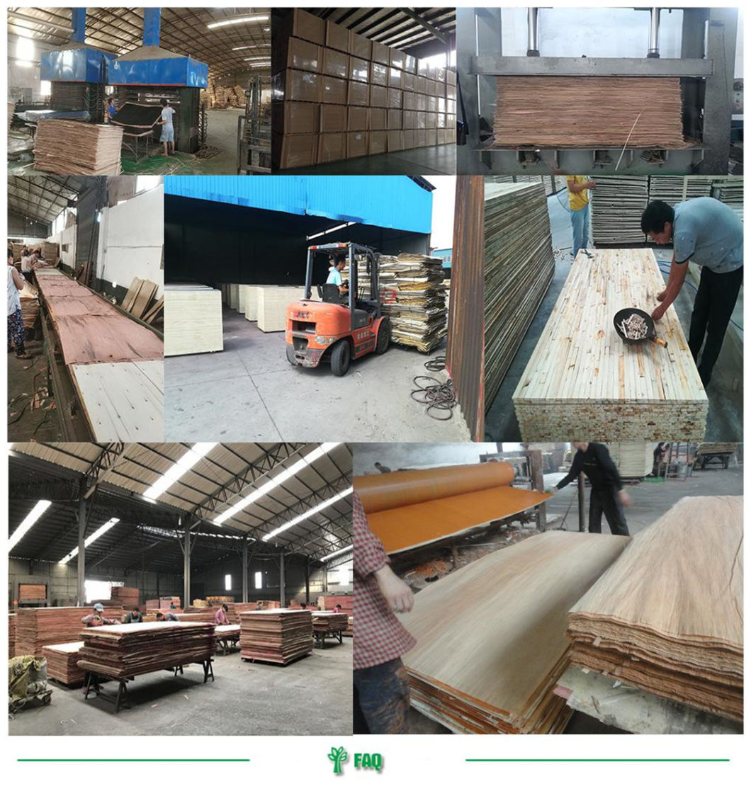 New Products Looking for Distributor for Commercial Plywood Price