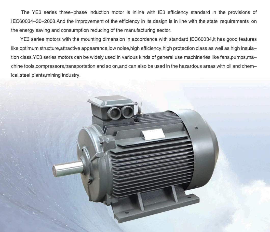 Electric Motor/Synchronous Motor/Motor/Electric Car Conversion Kit/China Factory
