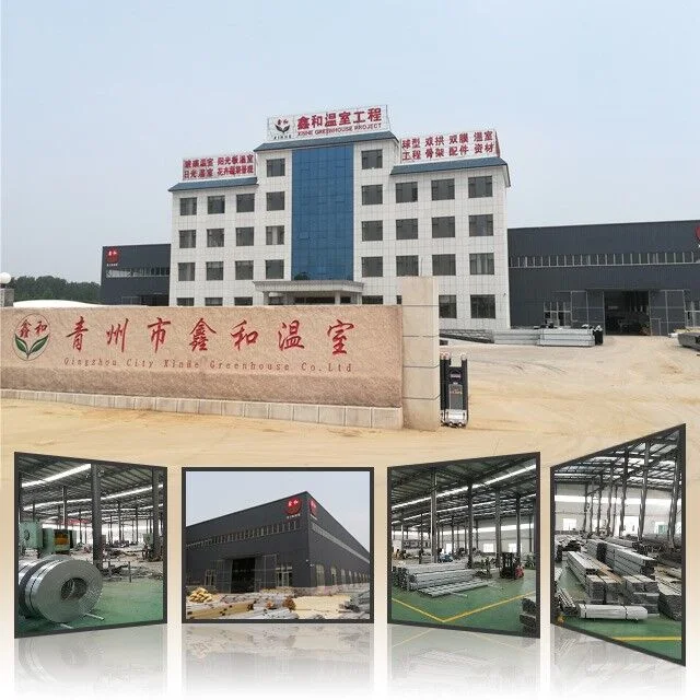 Commercial Multi-Span Plastic Po Film Greenhouse for Garden Products