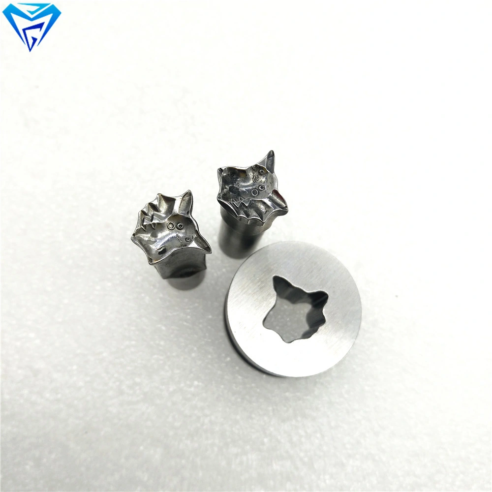 Tdp0 Pill Press Casting Mould and Die for Home Pill Making Machine