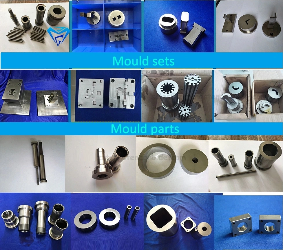 Die Casting Mould for Round Tablet Press
