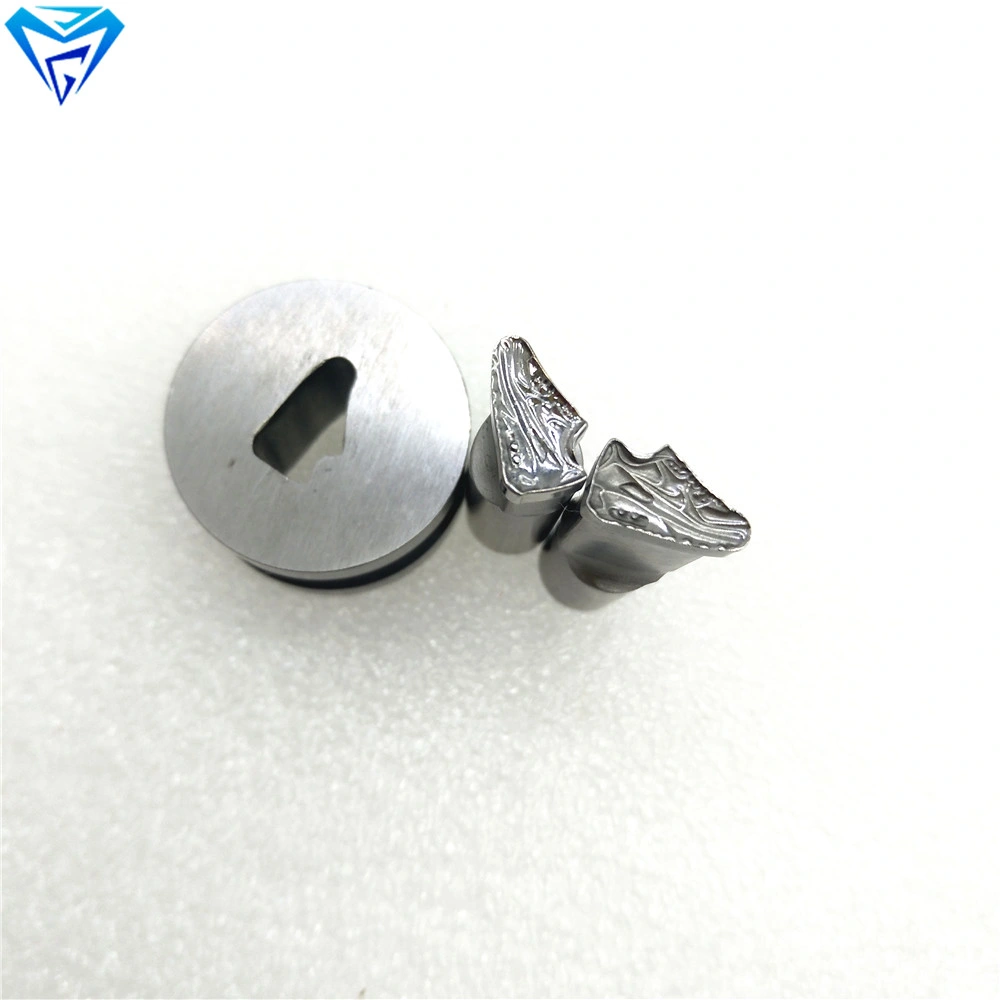 Tdp0 Pill Press Casting Mould and Die for Home Pill Making Machine