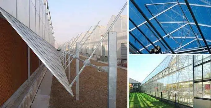Commercial Multi-Span Film Greenhouse for Flowers Garden Products
