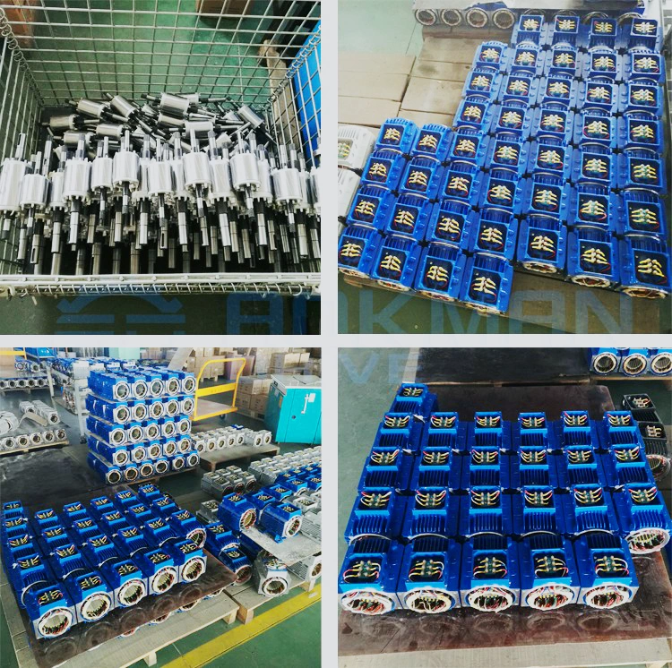 Electric Motor/Synchronous Motor/Motor/Electric Car Conversion Kit/China Factory