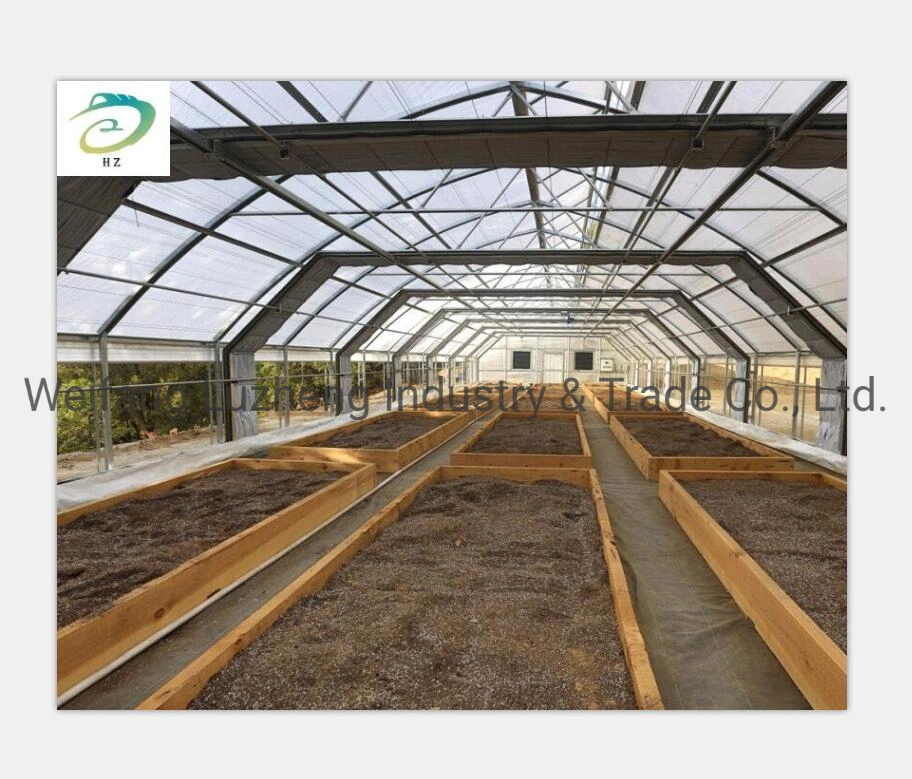 Po PE Film Greenhouse with Ventilation Side Vent or Roof Vent, Inside Outside Shading Optional Greenhouse