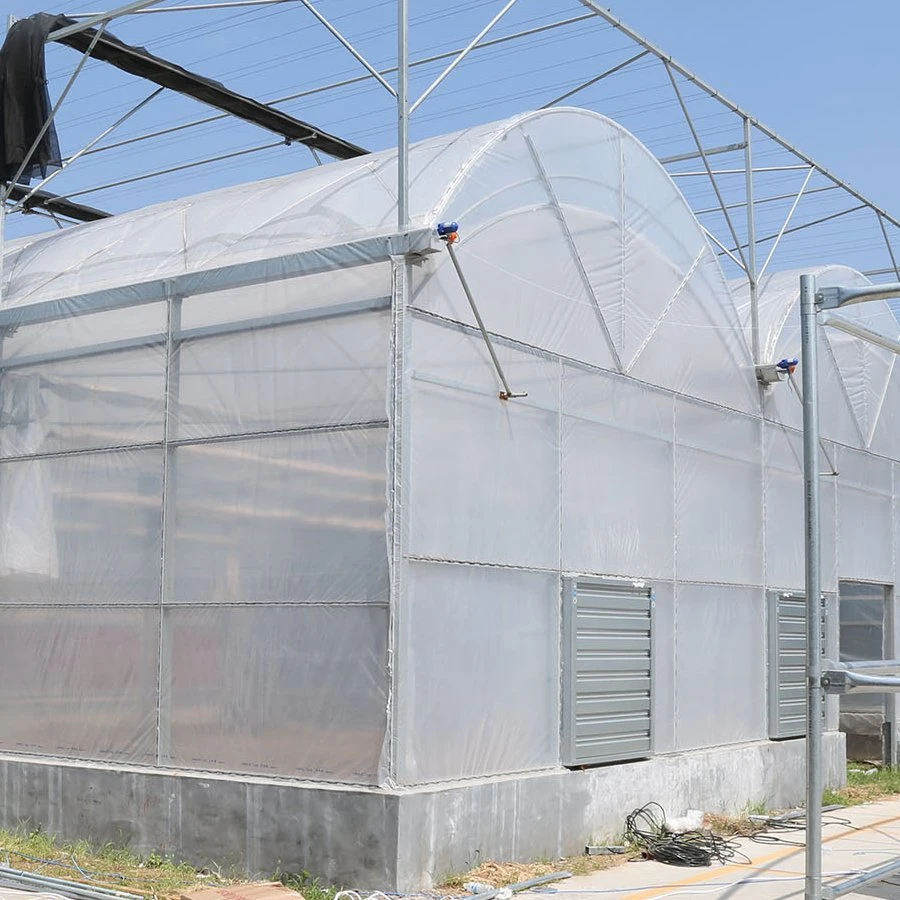 Commercial Multi-Span Film Greenhouse for Flowers Garden Products