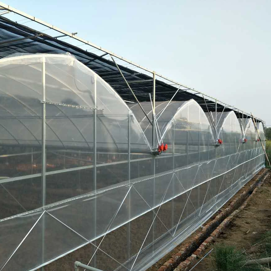 Multi-Span Film Greenhouse with Inside and Outside Shading System