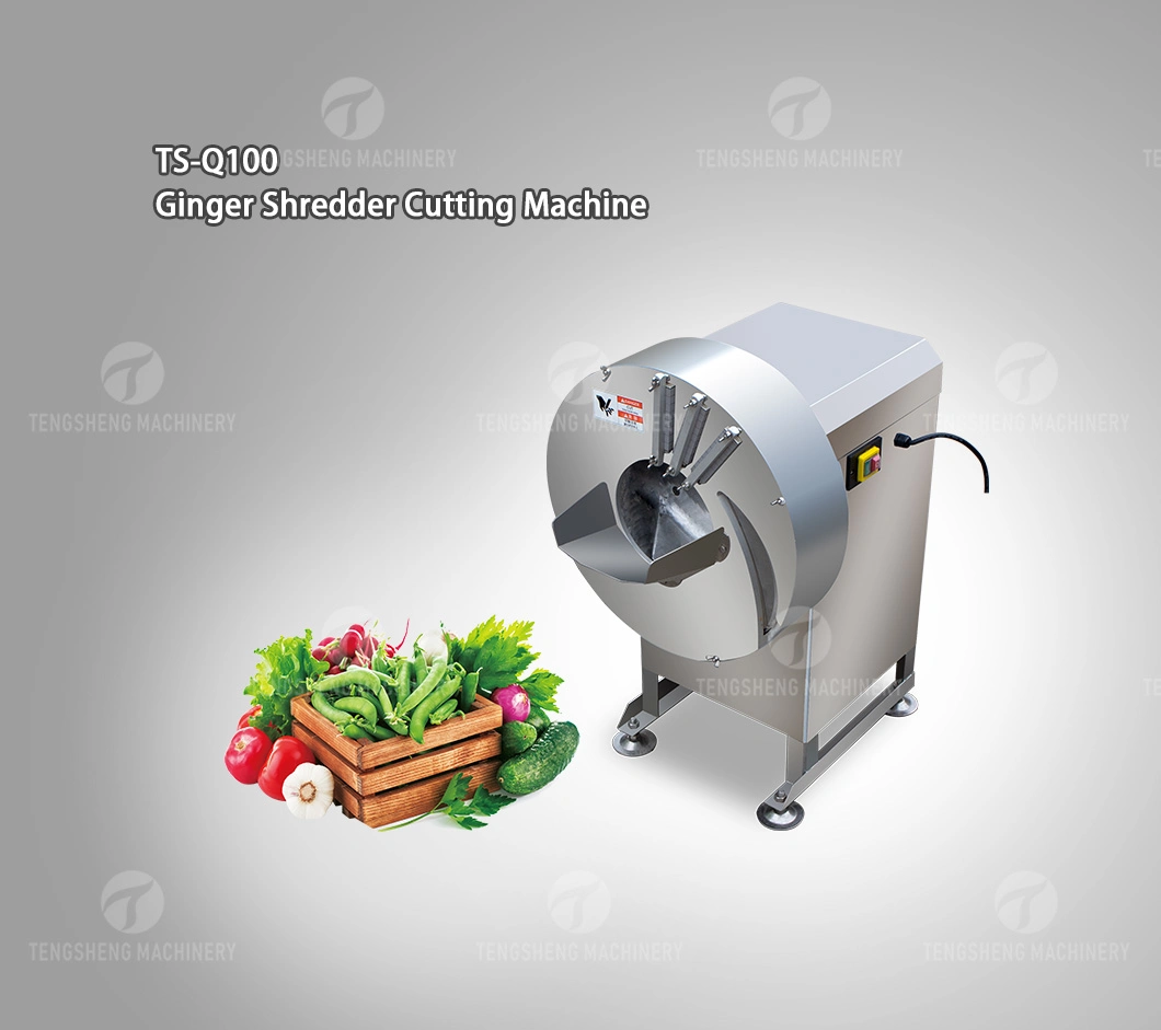 High Speed Bamboo Shoots Slicer Carrot Slicer Vegetable and Fruit Processing Machine (TS-Q100)