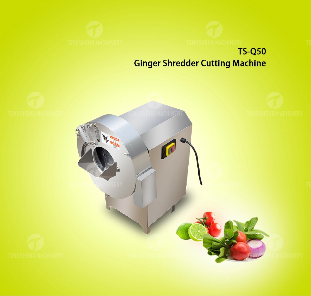 Automatic Bamboo Shoot Papaya Shredder Electric Ginger Slicing Machine Jengibre Cutting Machine (TS-Q50)