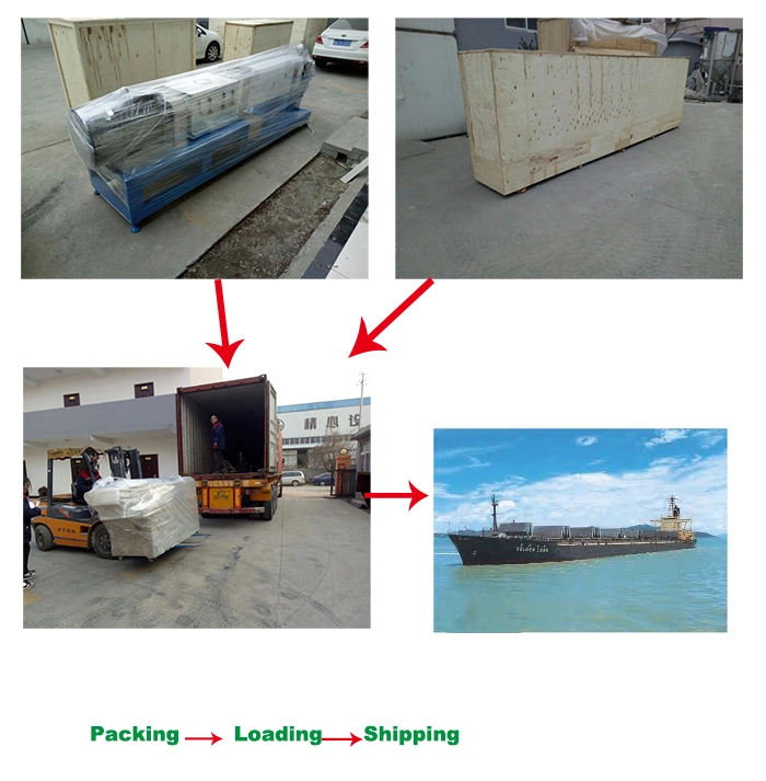 Trout Floating Fish Feed Processing Machine Salmon Fish Feed Extruder Machine Feed Production Line