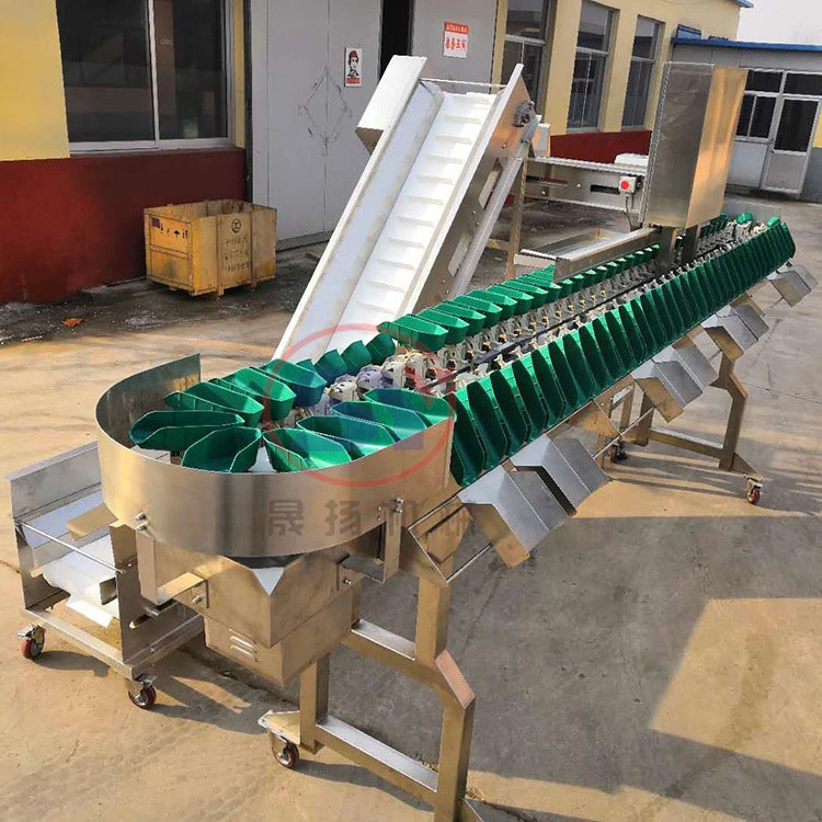 Big Weighing Cup Shrimp Crab Lobster Weight Sorting Grading Machine