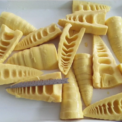 Top Quality Bamboo Shoot Halves Canned Bamboo Shoot