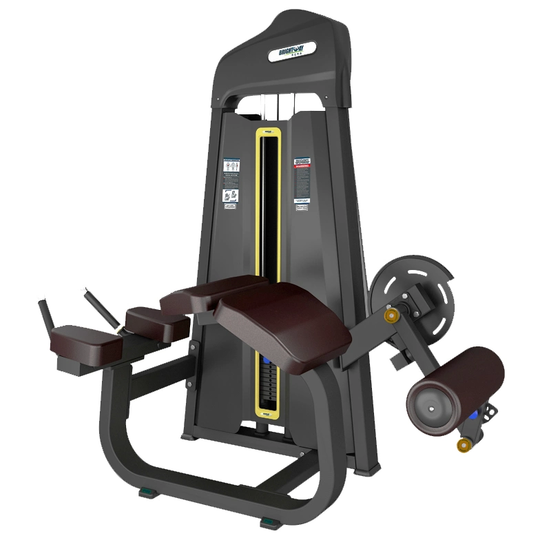 Commercial Training Equipment Sports Equipment Fitness Exercise Machine Prone Leg Curl Gym Equipment