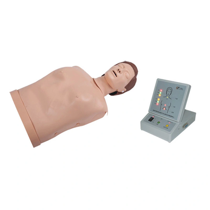 OEM Half Body CPR Training Manikin with Display Device and Alarm Device