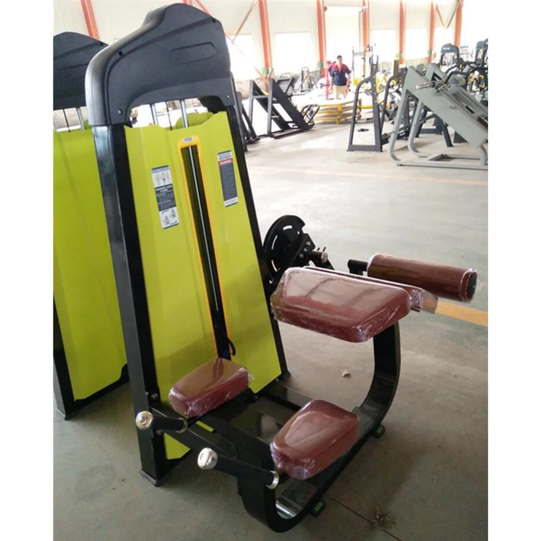 Commercial Training Equipment Sports Equipment Fitness Exercise Machine Prone Leg Curl Gym Equipment