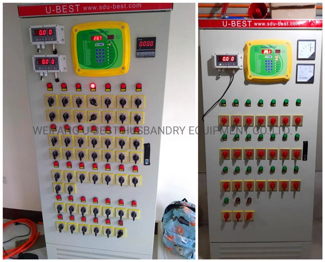 Whole Automatic Broiler Poultry Farming Equipment for Chicken Feeding Equipment