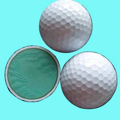 Golf Ball, 2-Piece, Practice Level, Famous Face Printing (B07108)
