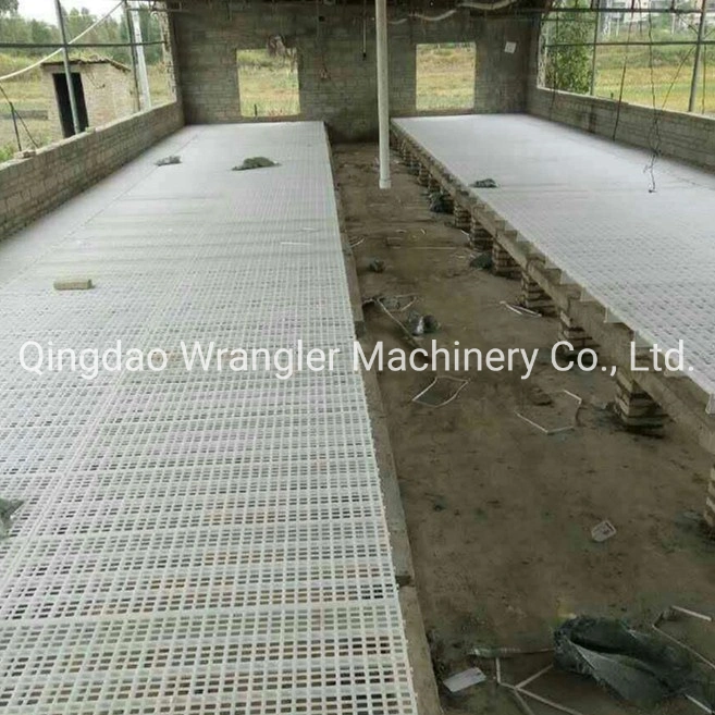 Automatic Poultry Feeding Equipment/ Poultry Farming Equipment