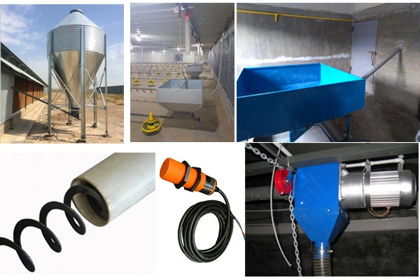 Whole Automatic Broiler Poultry Farming Equipment for Chicken Feeding Equipment