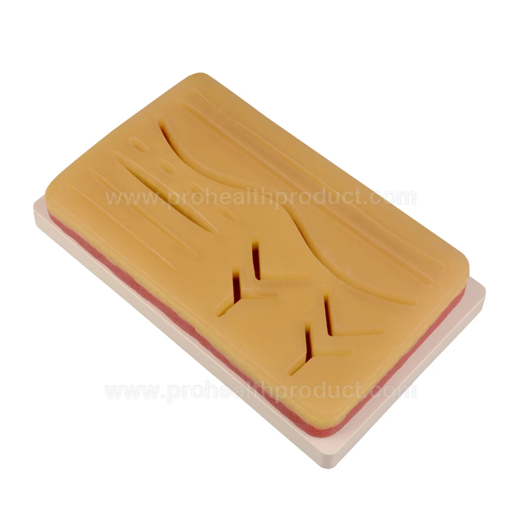 New product Surgical Suture practice pad model Suture Practice Kit