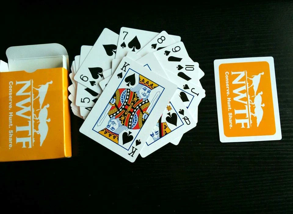 Nwtf Paper Playing Cards/Poker Playing Cards with 4 Different Colors