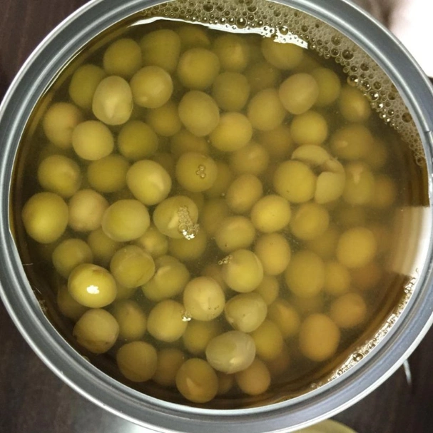 800g Canned Green Pea with Factory Price