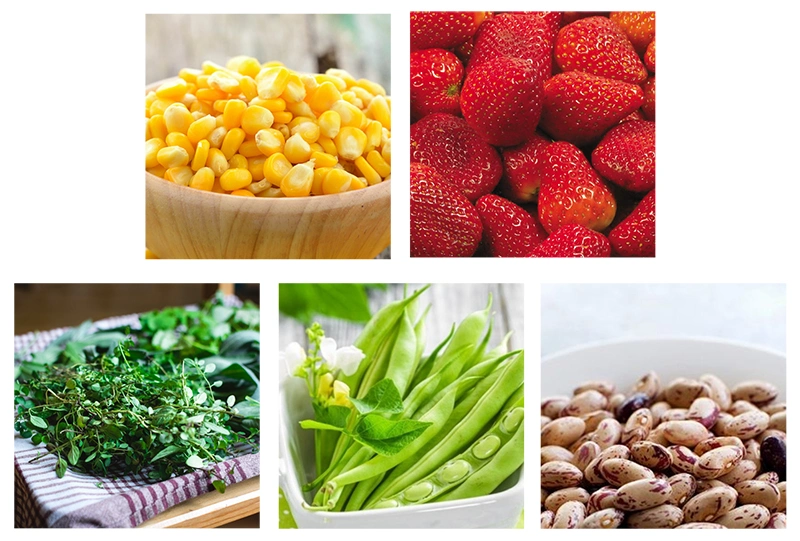 Industrial Fluidized Flow Bed Freezer for Beans/Green Peas/Okra/Strawberry/Mango/Fruit & Vegetable