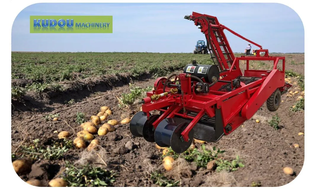 Potato Harvesting Machine / Solanum Tuberosum Sweet Potato Harvesting Equipments / Patata Spud Murphy Harvester