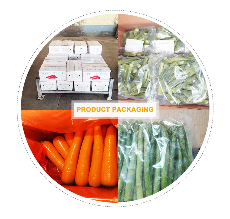 Plant Base Wholesale Raw Green Peas Frozen Green Peas Brands