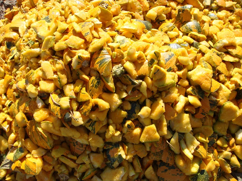 Tractor Mounted Pumpkin Seed Harvesting Machine, Cushaw, Squash Seeds Harvesting Machine., Extracting Machine