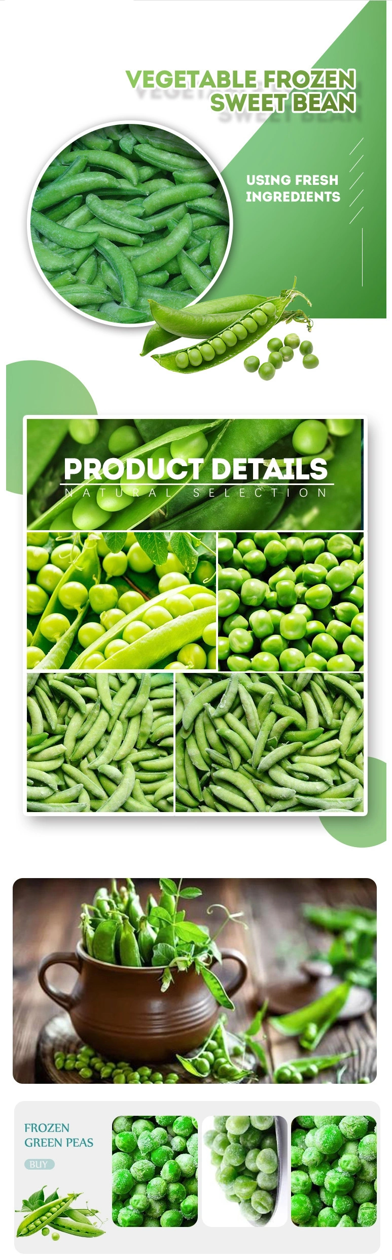 China High Quality IQF Frozen Green Pea