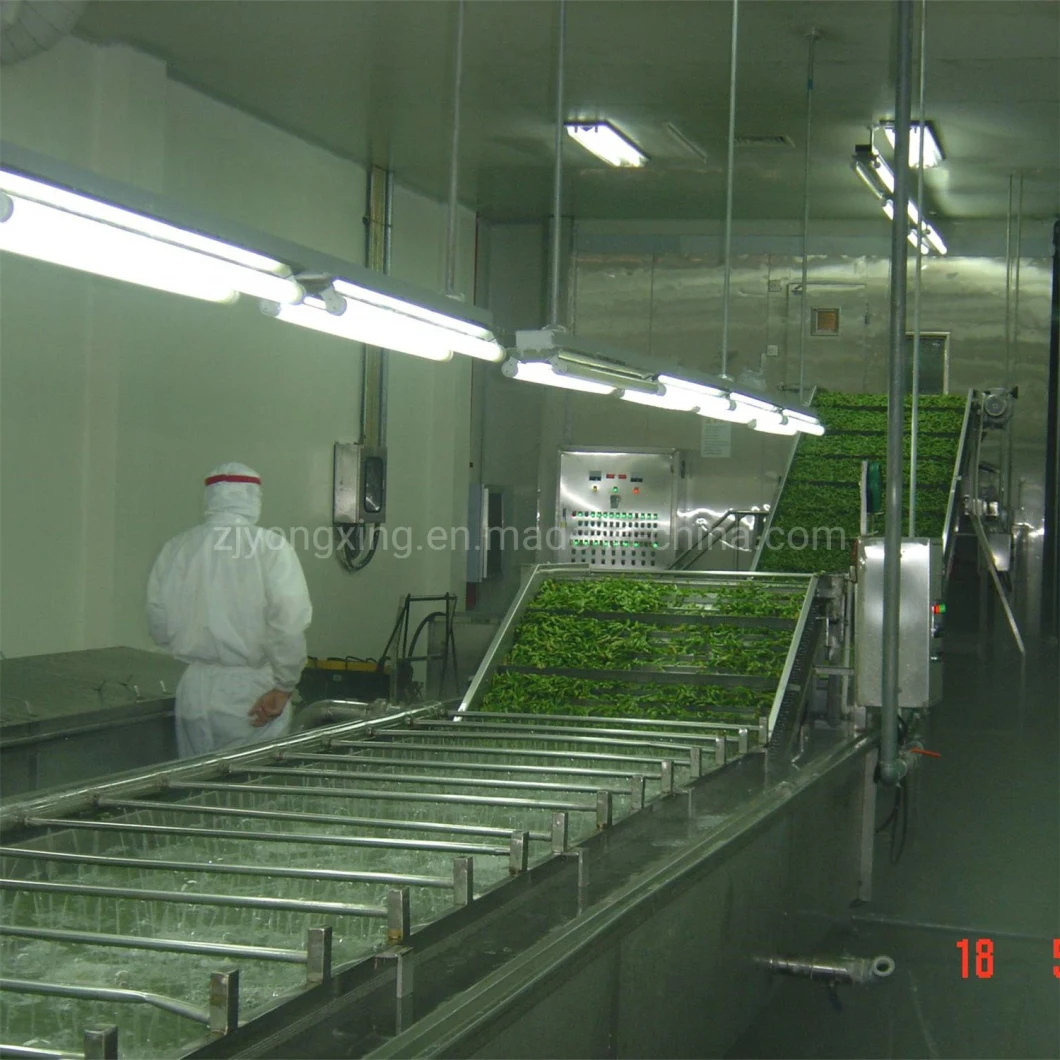 Fluidization Tunnel Freezer for IQF Spinach/Mango Cube/Strawberry/Beans/Green Peas/Corn Processing