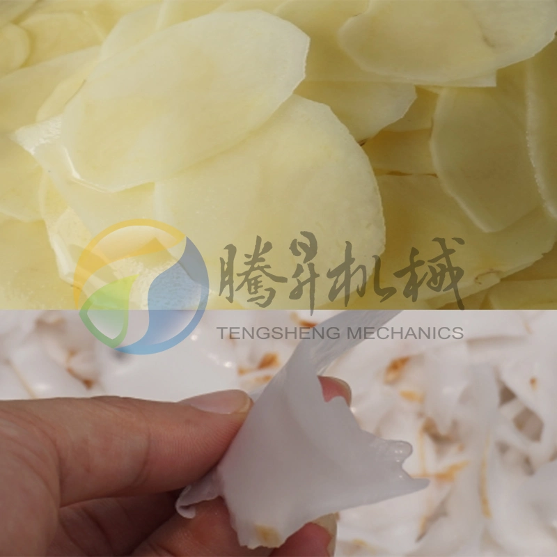 Stainless Steel Vegetable Machine Papaya Pumpkin Bamboo Shoots Onion Slicer Sweet Potato Slicing Machine (TS-Q128D)