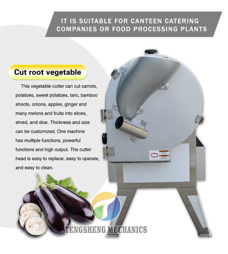 Sweet Potato Dicer Radish Shredding Machine Bamboo Shoots Shredder Eggplant Dicing Machine Commercial Vegetable Cutter (TS-Q112)