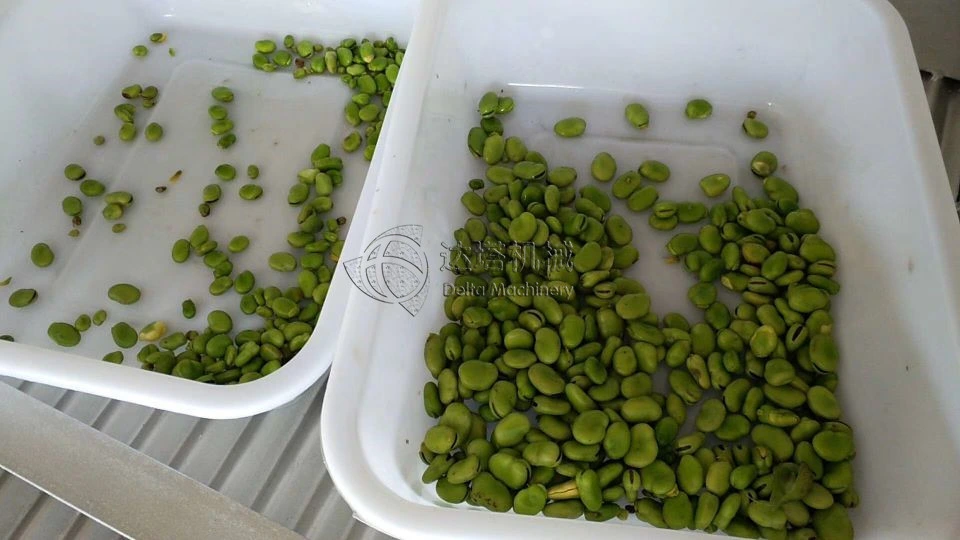 Fresh Green Soybean Pea Broad Bean Sheller Dehuller Thresher Peeler Shelling Dehulling Peeling Threshing Machine