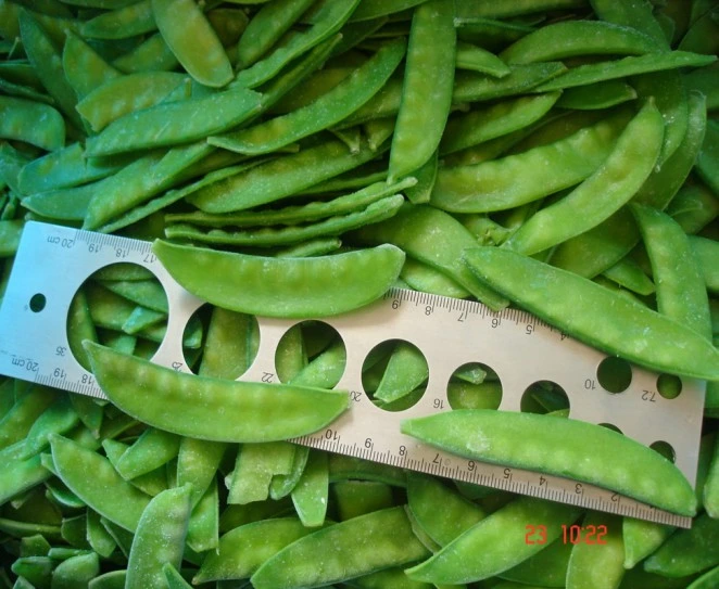 IQF Frozen Pea Pods, Snow Pea