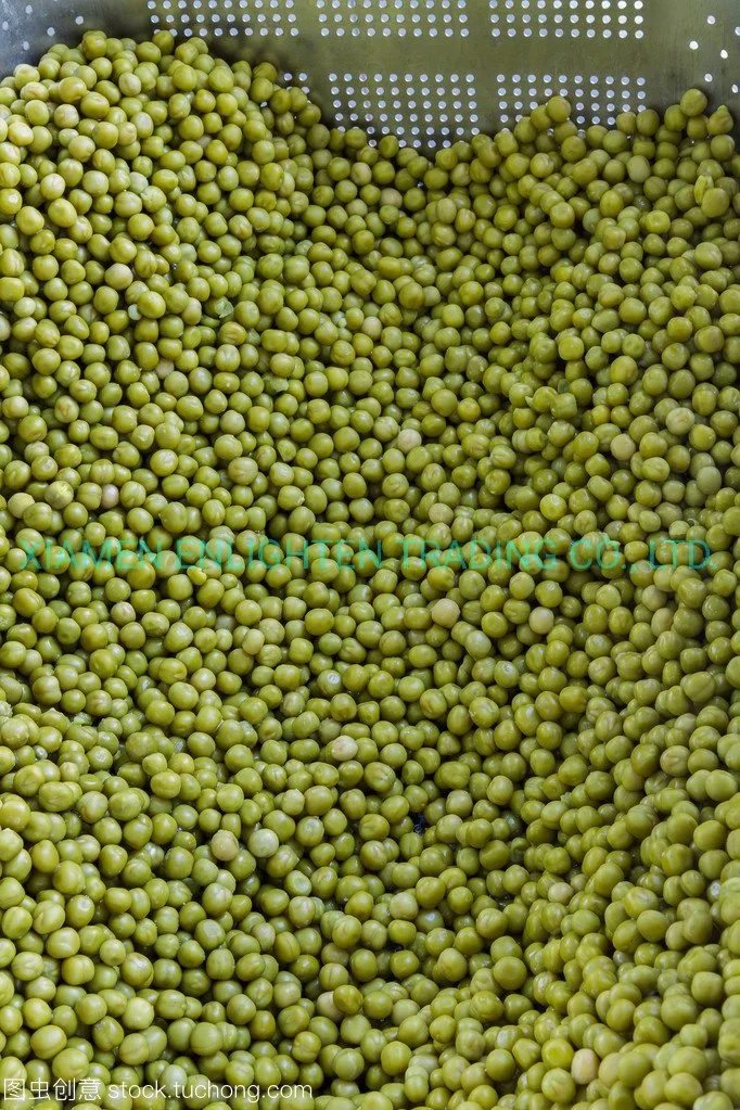 Green Pea in Can From Fresh Material