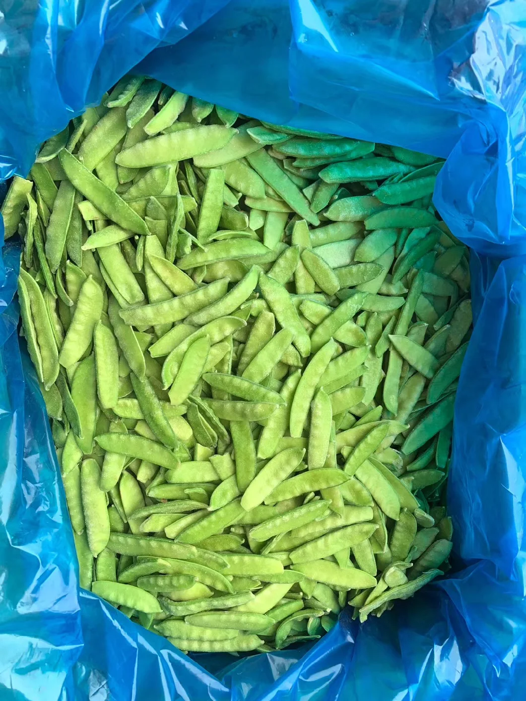 Frozen Pea Pods, Frozen Snow Peas IQF Snow Peas