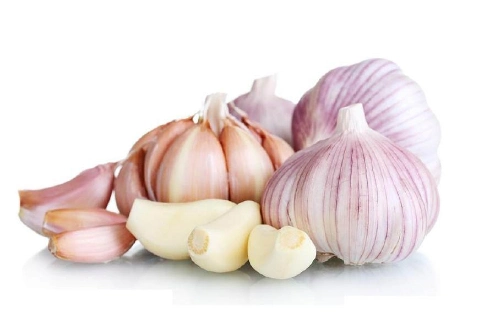 Wholesale Cheap Bulk Fresh Selected Good Quality Chinese Fresh White Garlic with Good Quality